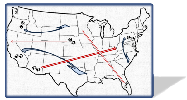 long distance Pet Transportation National