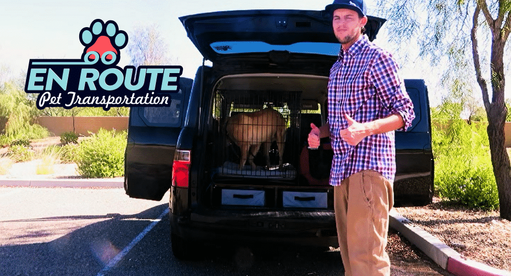 Best Long Distance Pet Transportation in AZ-Arizona | Updated: 2023