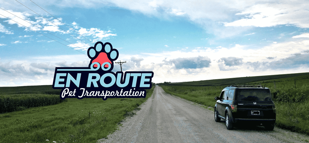 Cheap Ground Pet Transportation in AZ – Arizona | Updated: 2023