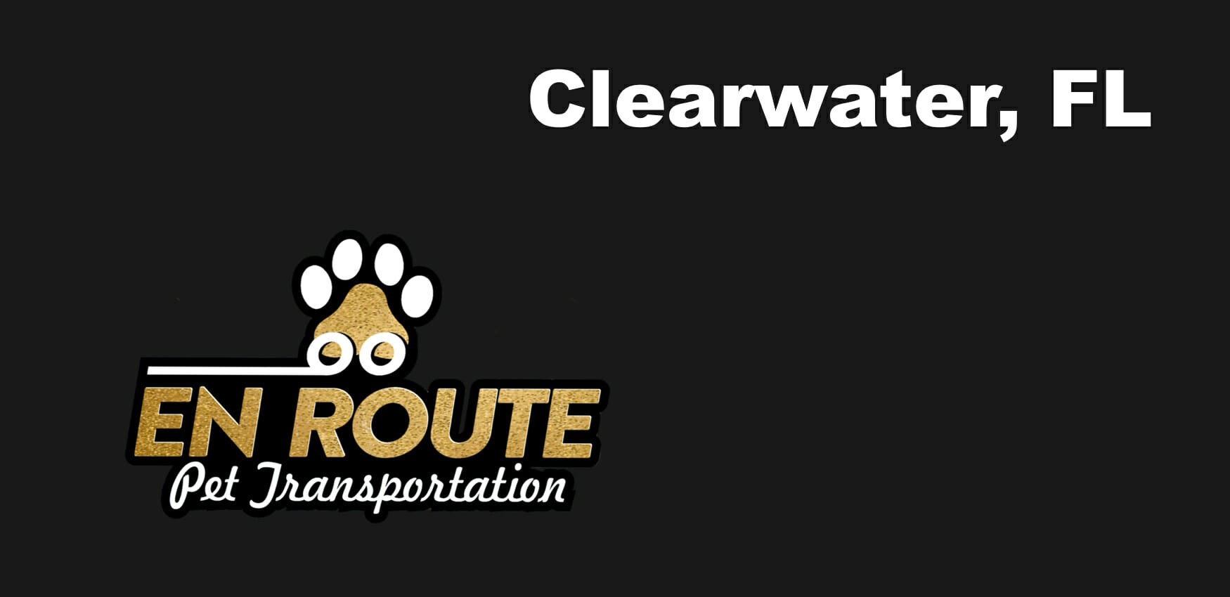 Best VIP private luxury pet ground transportation Clearwater, FL.