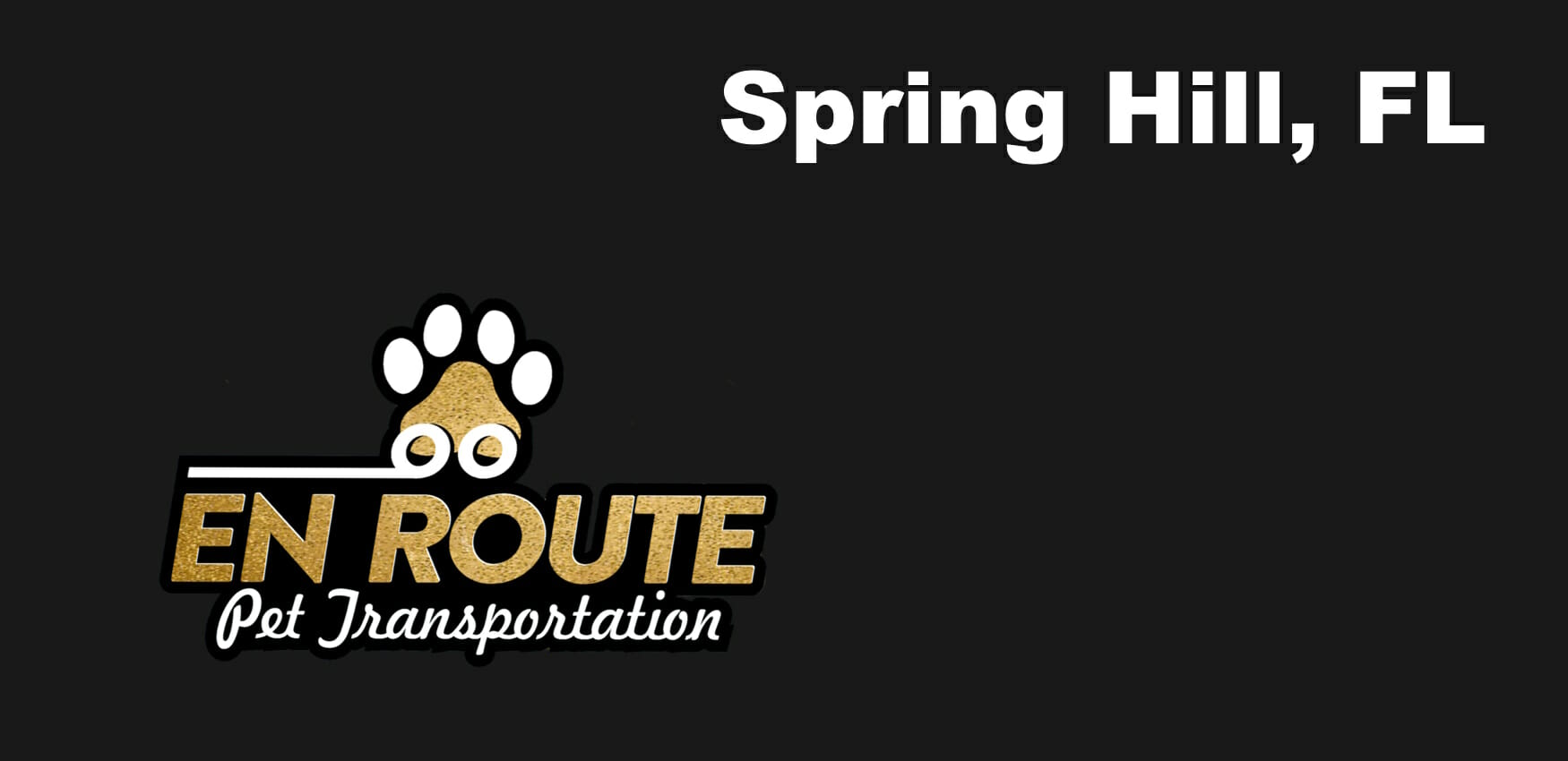 Best VIP private luxury pet ground transportation Spring Hill, FL.