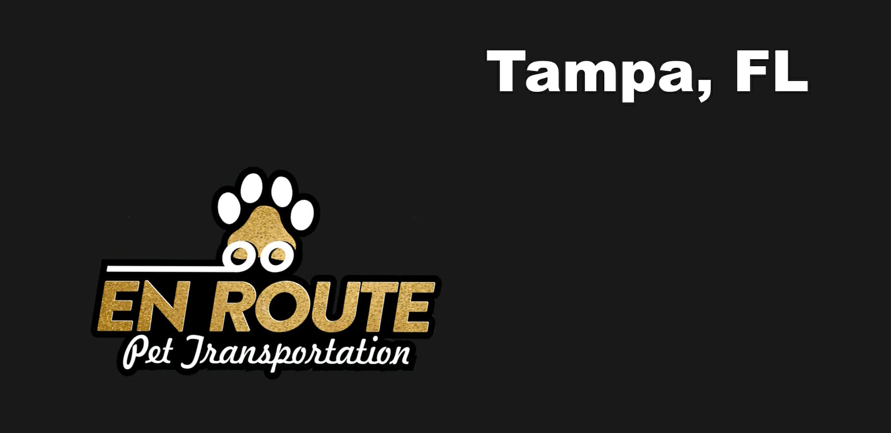 Best VIP private luxury pet ground transportation Tampa, FL.