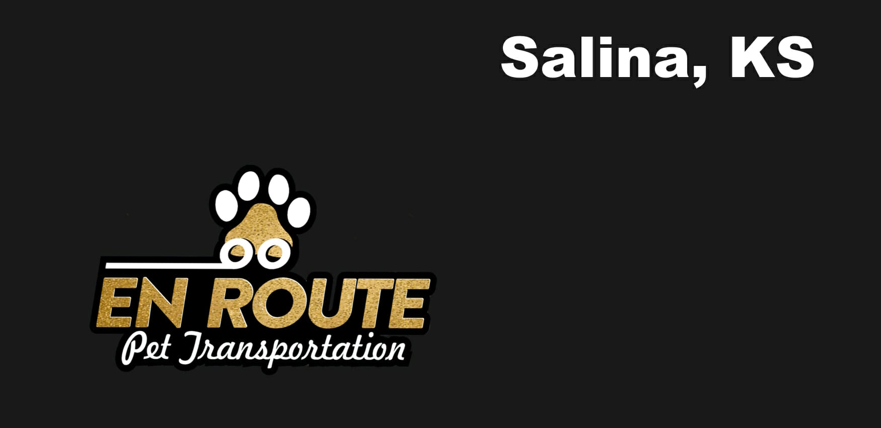 Best VIP private luxury pet ground transportation Salina, KS.