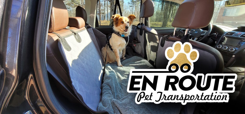 Stress-Free Travel: Why Private Pet Ground Transportation Is the Best Choice for Pet Parents
