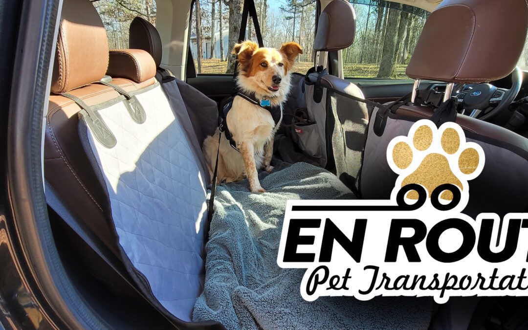 Stress-Free Travel: Why Private Pet Ground Transportation Is the Best Choice for Pet Parents 2025