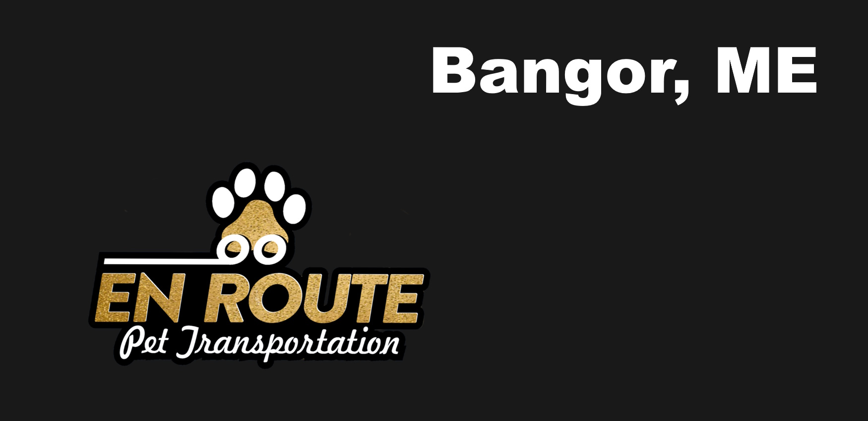 Best VIP Luxury Private Pet Ground Transportation in Bangor, ME